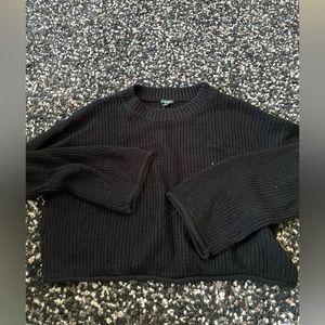 Wild fable cropped sweater